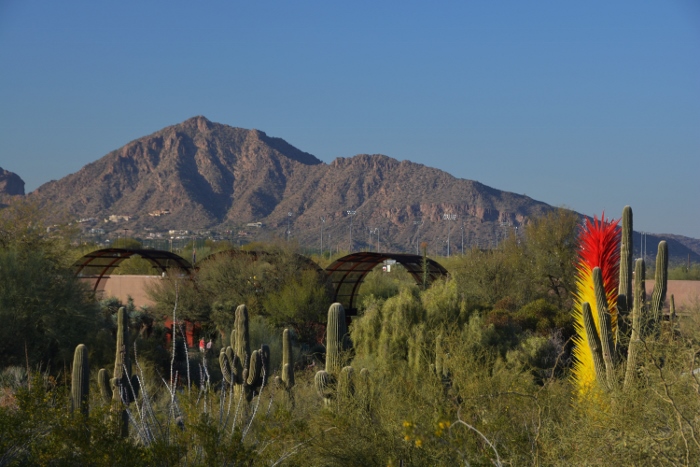 Camelback Mountain seen from inside the botanical garden